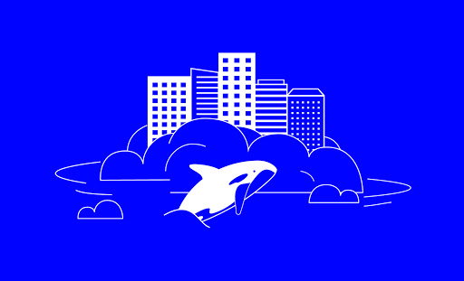 Ushering In The Future of Cloud Security: Our Investment in Orca Security